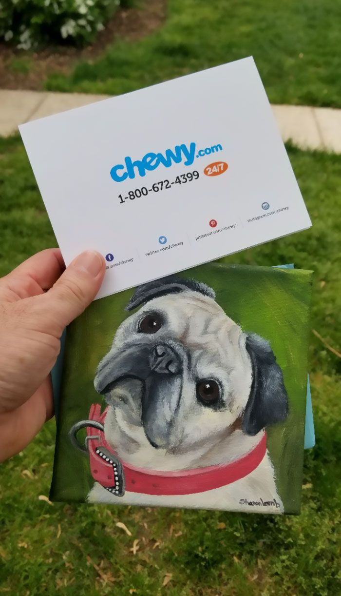 Excellent Chewy Customer Service